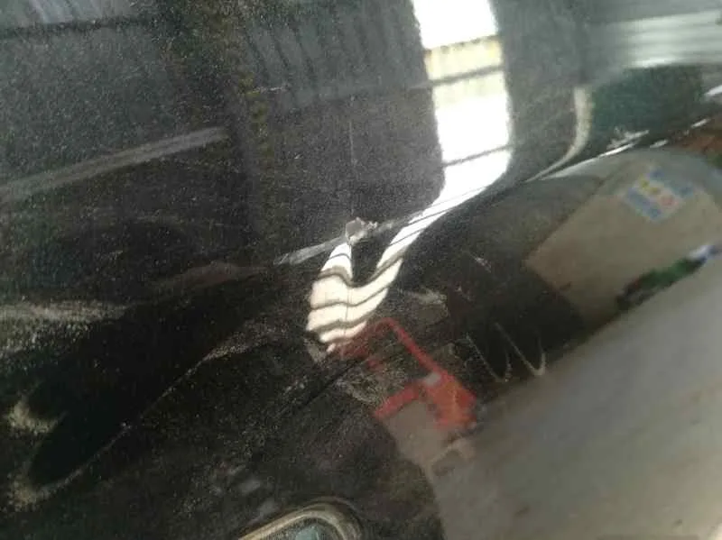 Puerta Delantera Derecha para Suzuki Sx4 Rw (Ey)