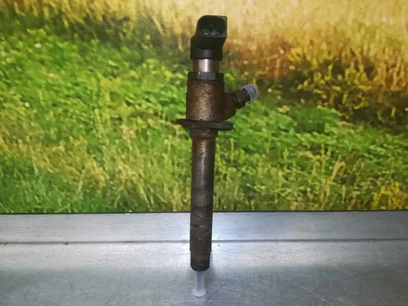 Inyector para Citroën C6