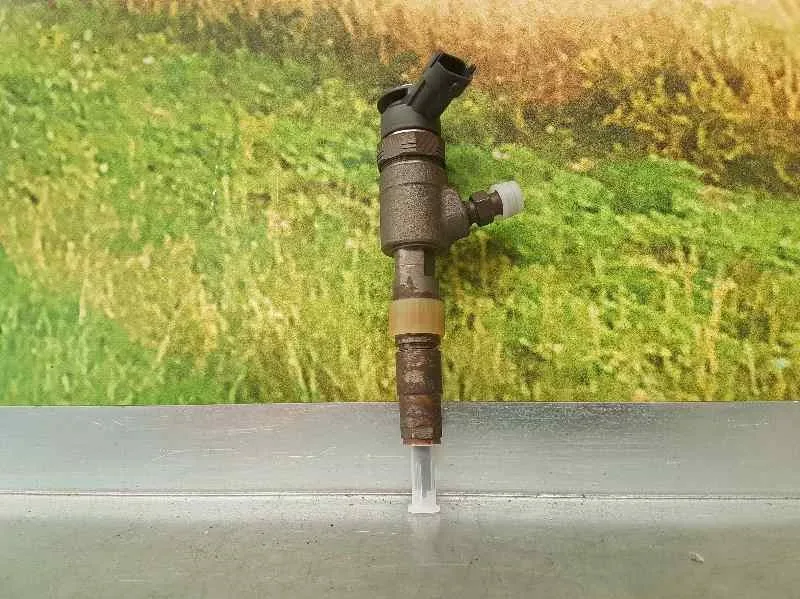 Inyector para Citroën C3