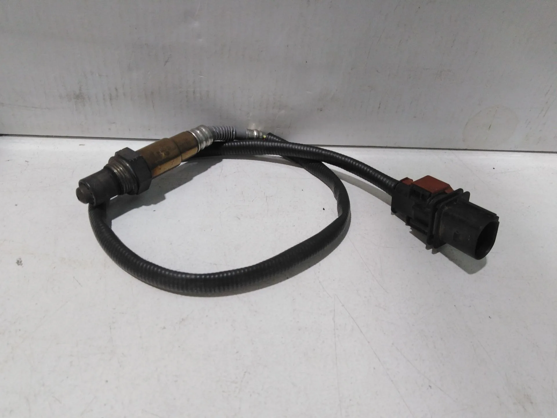 Sonda Lambda para Ford Focus Lim.