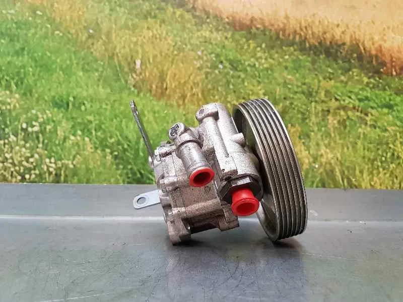 Bomba Direccion para Citroën Jumper Grossraumkasten