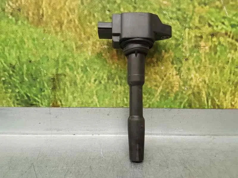 Bobina Encendido para Dacia Dokker