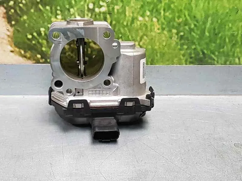Caja Mariposa para Citroën Berlingo Cuadro
