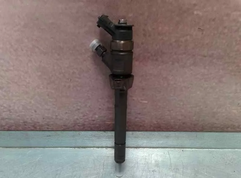 Inyector para Citroën Xsara Picasso