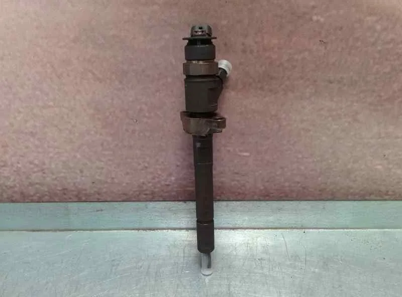 Inyector para Citroën Xsara Picasso