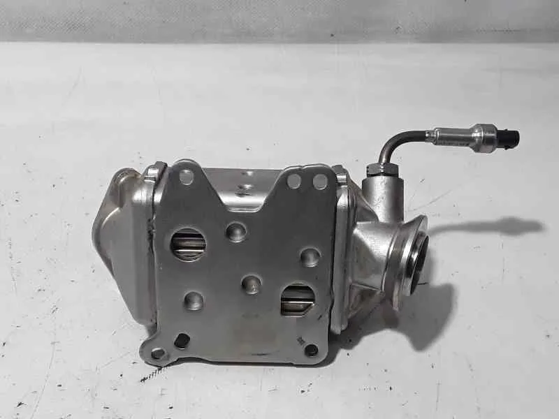 Enfriador Egr para Citroën Nemo