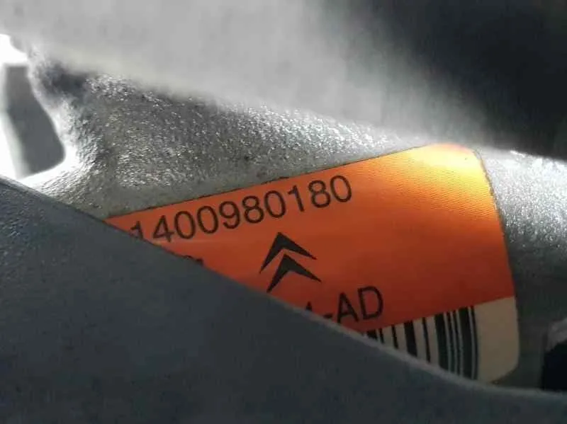 Bomba Direccion para Citroën Nemo
