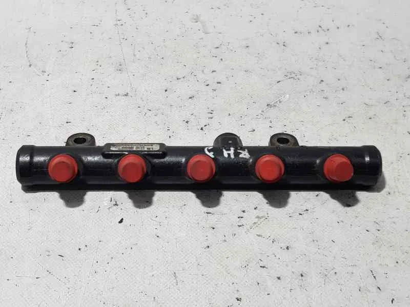 Rampa Inyectora para Citroën C4 Picasso
