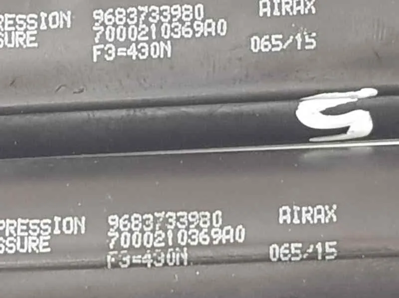 Amortiguadores Maletero / Porton para Citroën C3