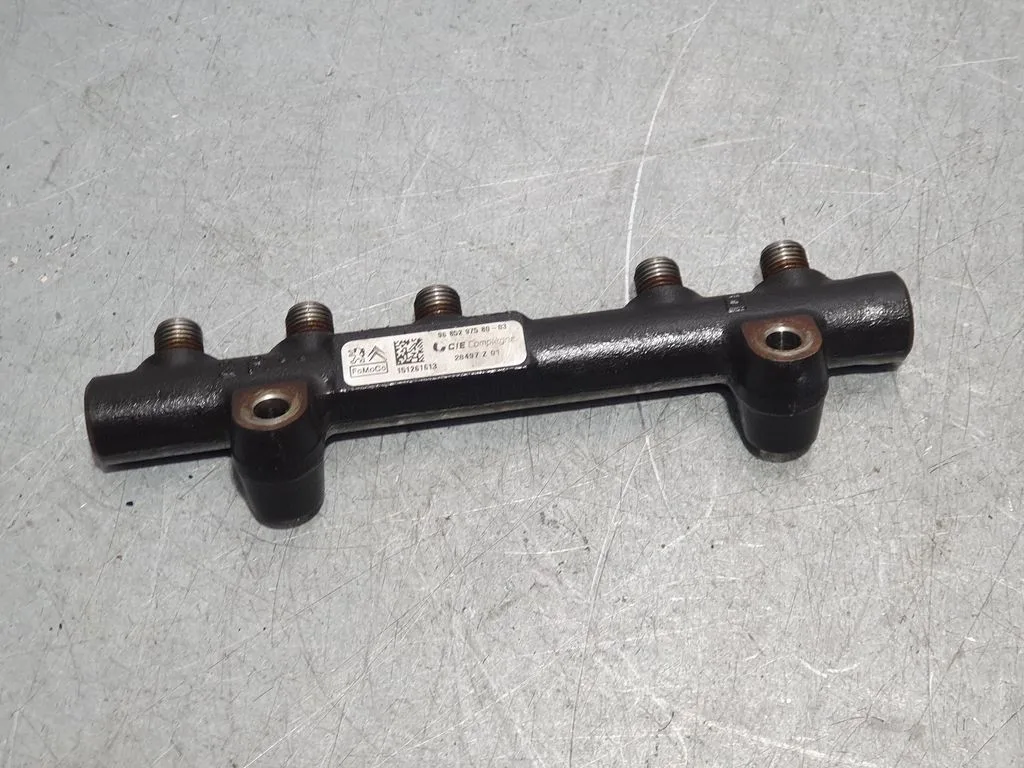 Rampa Inyectora para Citroën Ds3