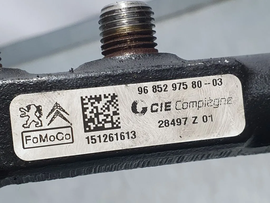 Rampa Inyectora para Citroën Ds3