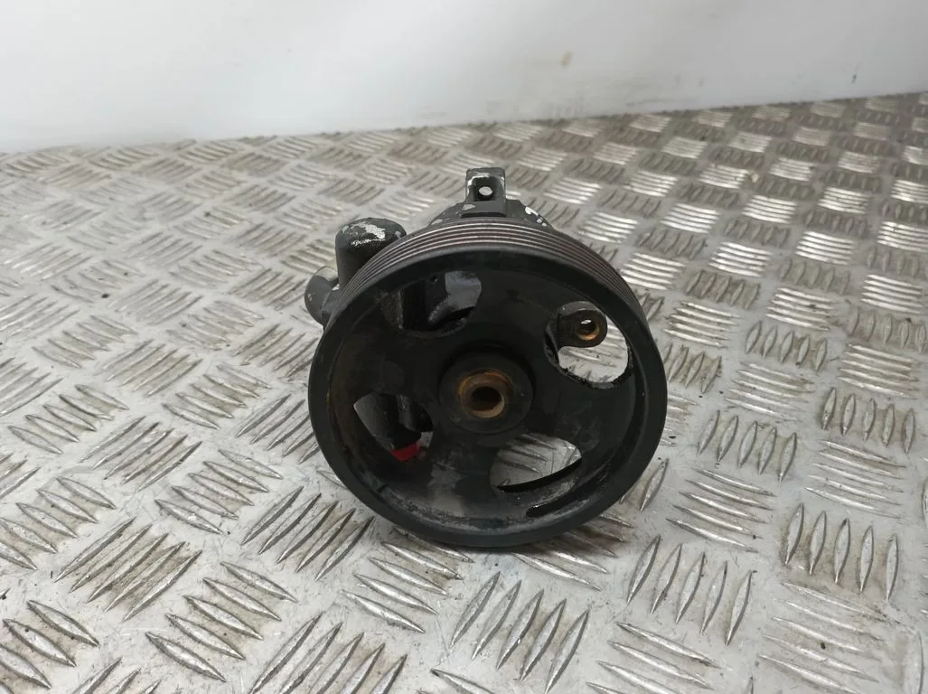 Bomba Direccion para Citroën Zx