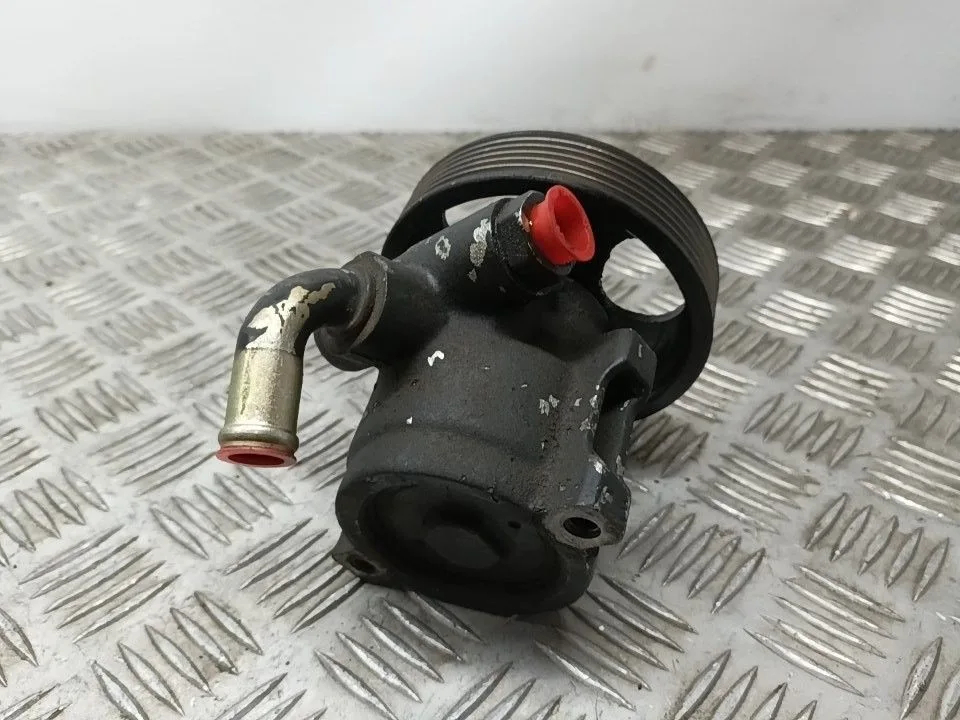 Bomba Direccion para Citroën Zx
