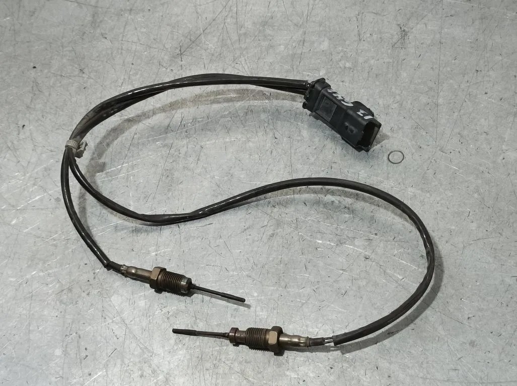 Sensor para Citroën Berlingo