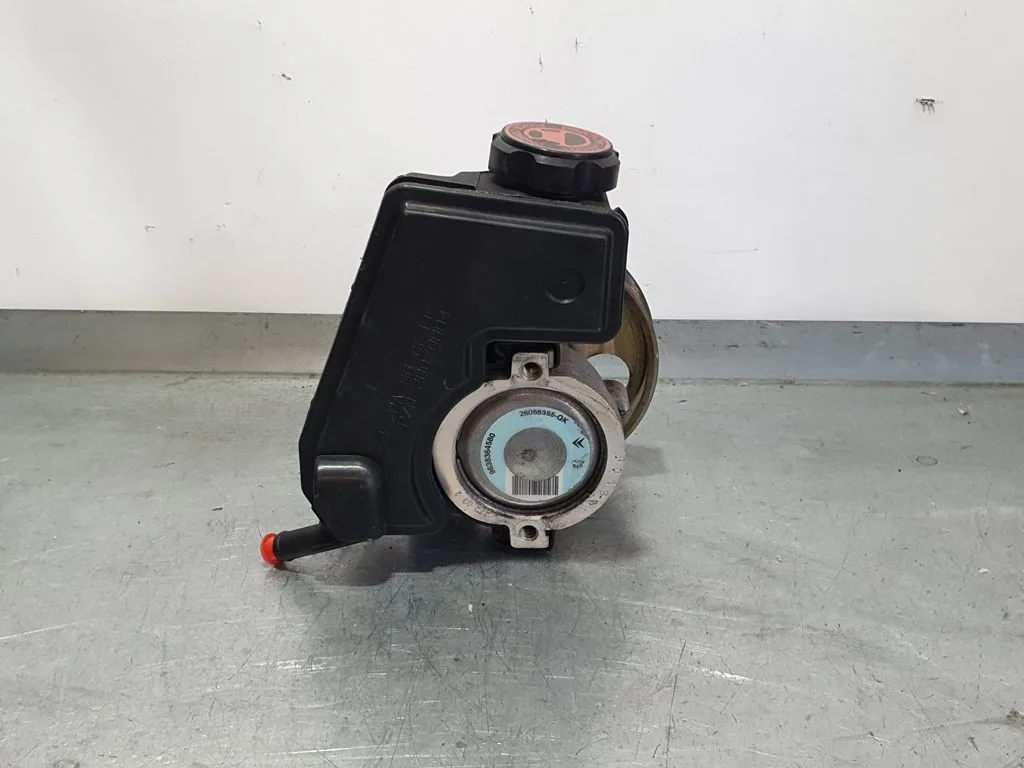 Bomba Direccion para Citroën Xsara Picasso
