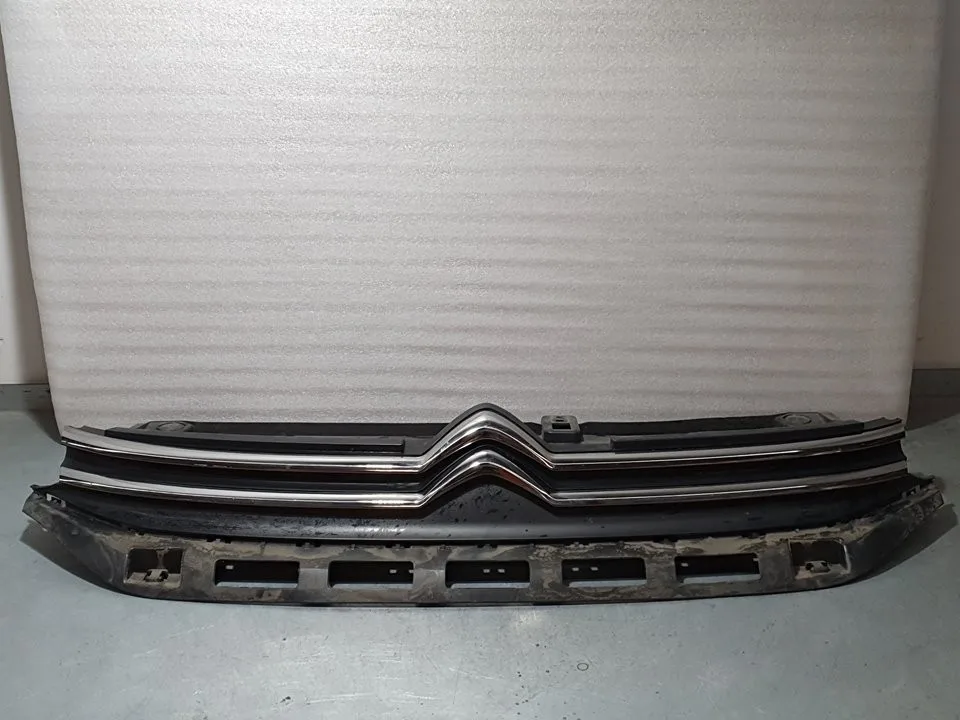Rejilla Delantera para Citroën C3
