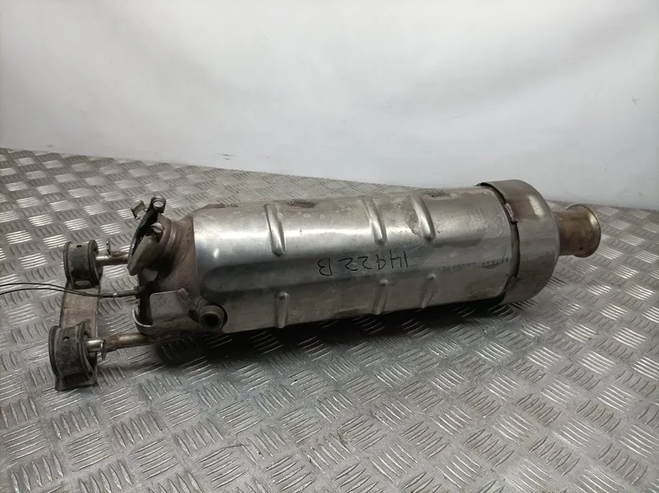 Filtro De Particulas para Citroën C-Crosser