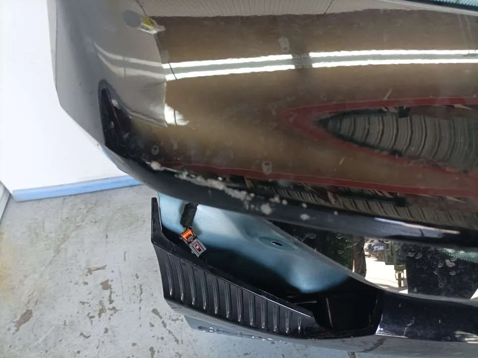 Porton Trasero para Citroën C4