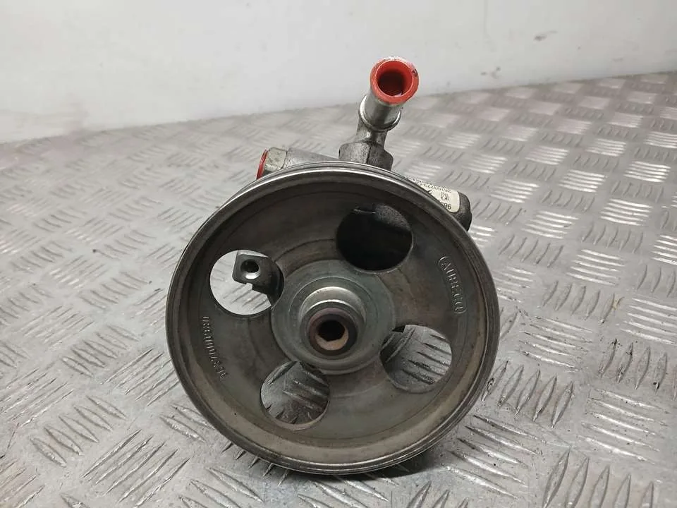 Bomba Direccion para Citroën Xsara Picasso