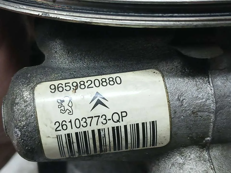 Bomba Direccion para Citroën Xsara Picasso