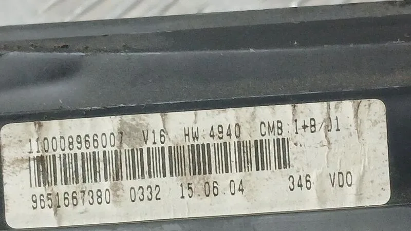 Cuadro Instrumentos para Citroën Xsara Picasso