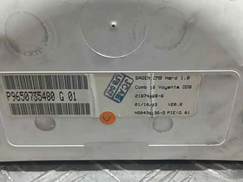 Cuadro Instrumentos para Citroën C2