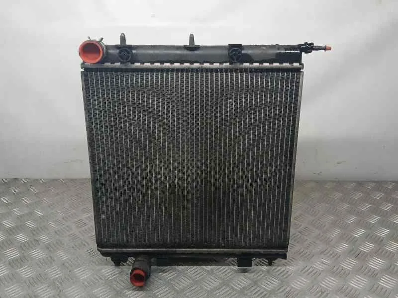 Radiador Agua para Citroën C2