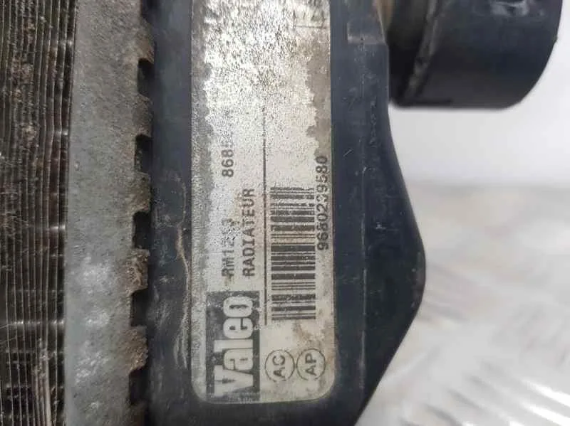 Radiador Agua para Citroën C2