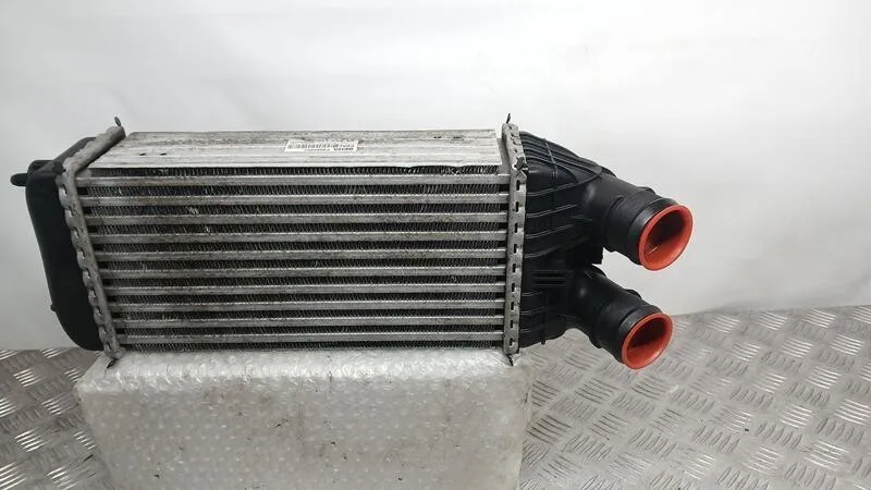 Intercooler para Citroën C3 Ii (Sc_)