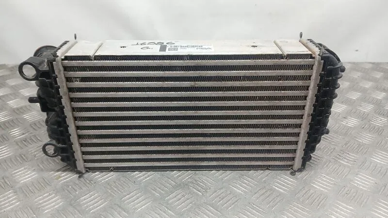Intercooler para Citroën C4 Iii (Ba_, Bb_, Bc_)