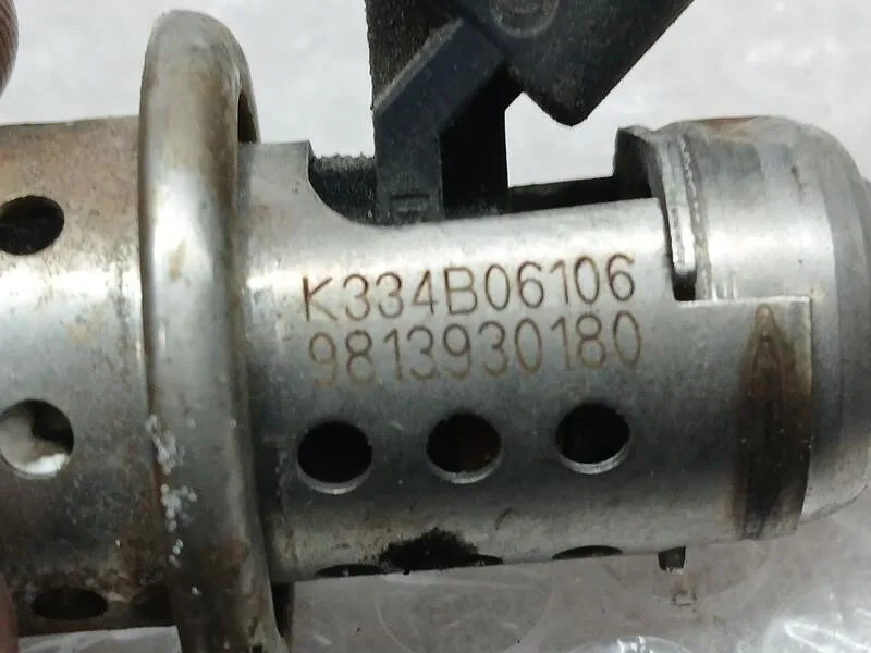 Inyector Adblue para Citroën Berlingo Furgoneta/Monovolumen (K9)