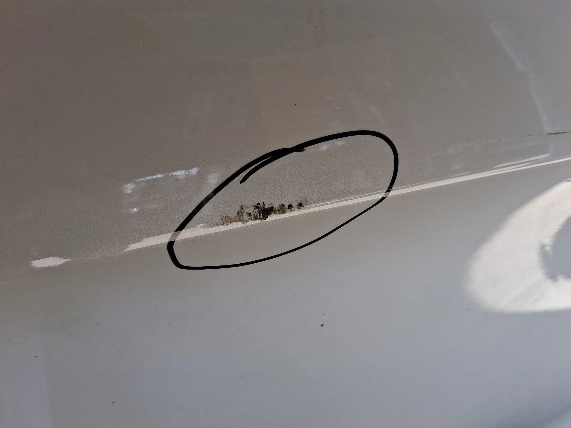 Puerta Delantera Derecha para Citroën Ds5