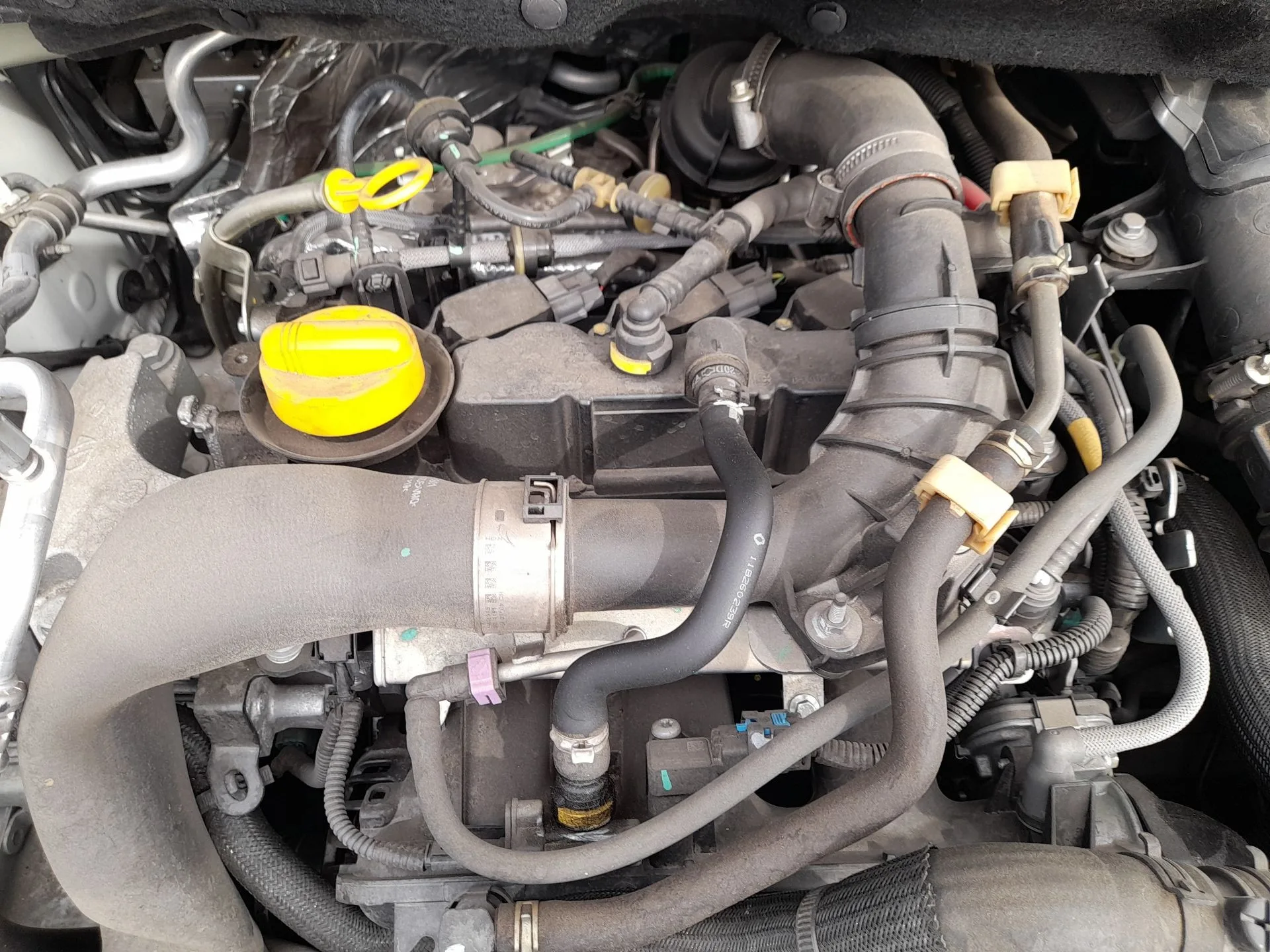 Motor Completo para Nissan Micra V (K14)