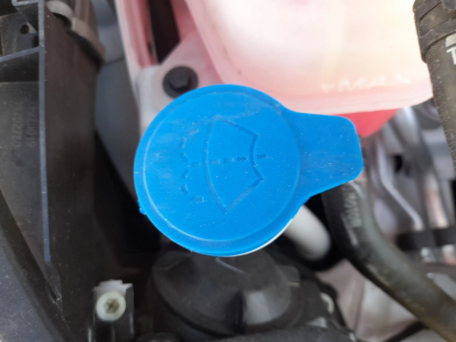 Deposito Limpia para Mg Mg 3 (5Fp)
