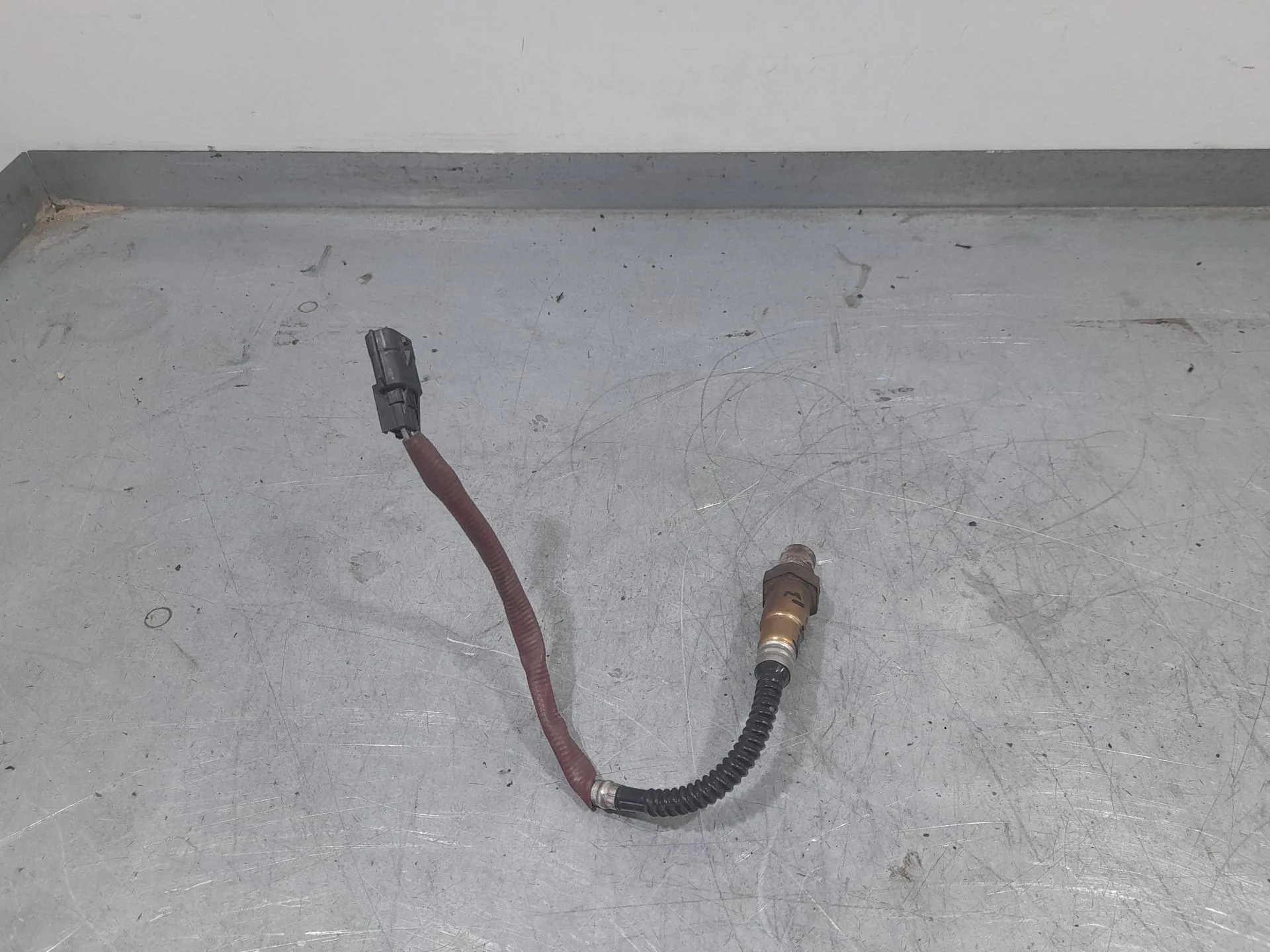 Sonda Lambda para Nissan Qashqai Ii (J11, J11_)