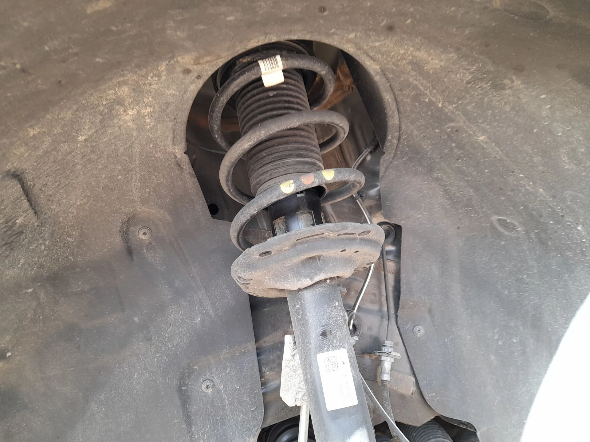 Amortiguador Delantero Izquierdo para Audi Q3 Sportback (F3N)