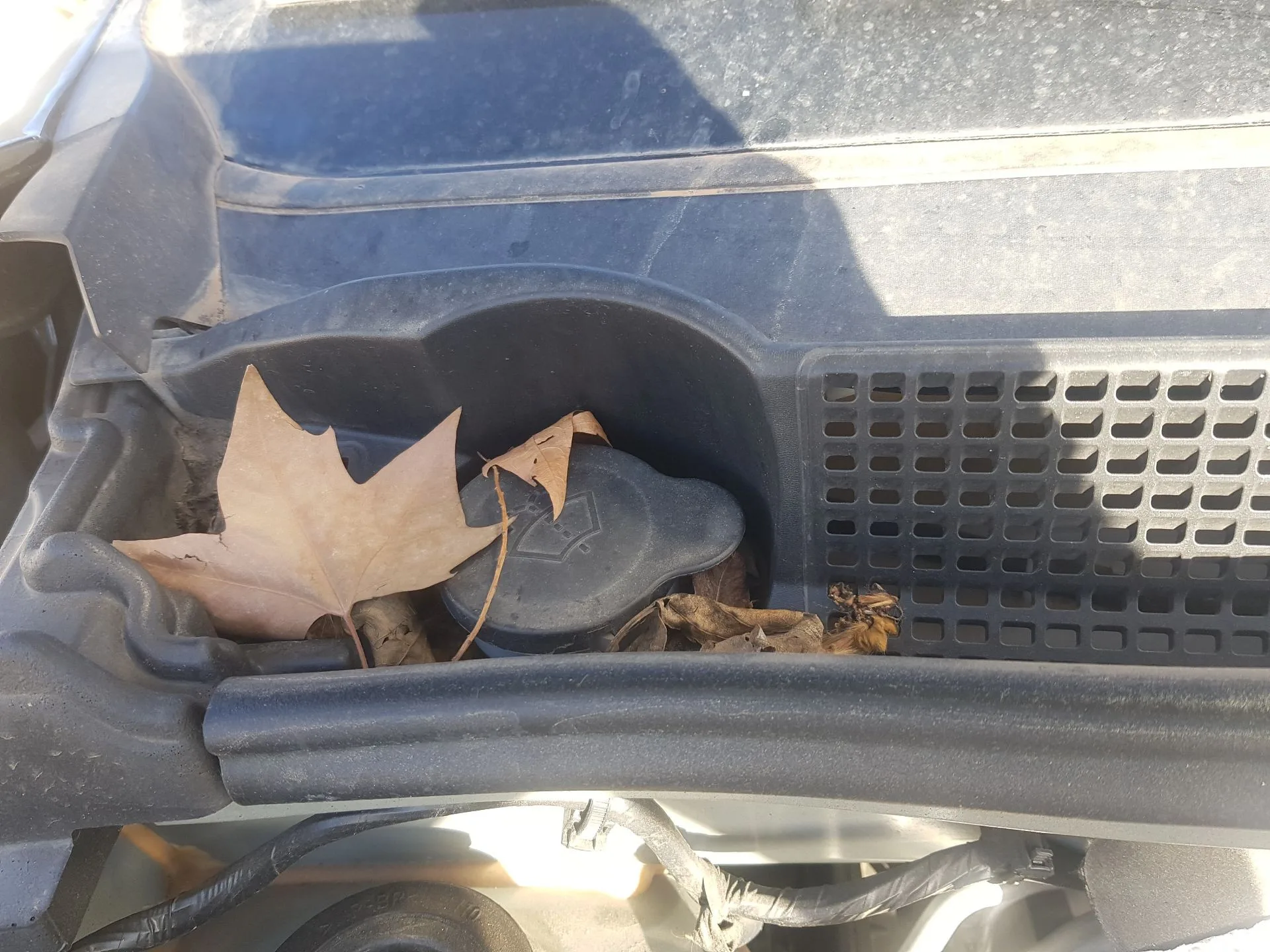 Deposito Limpia para Dacia Sandero Iii