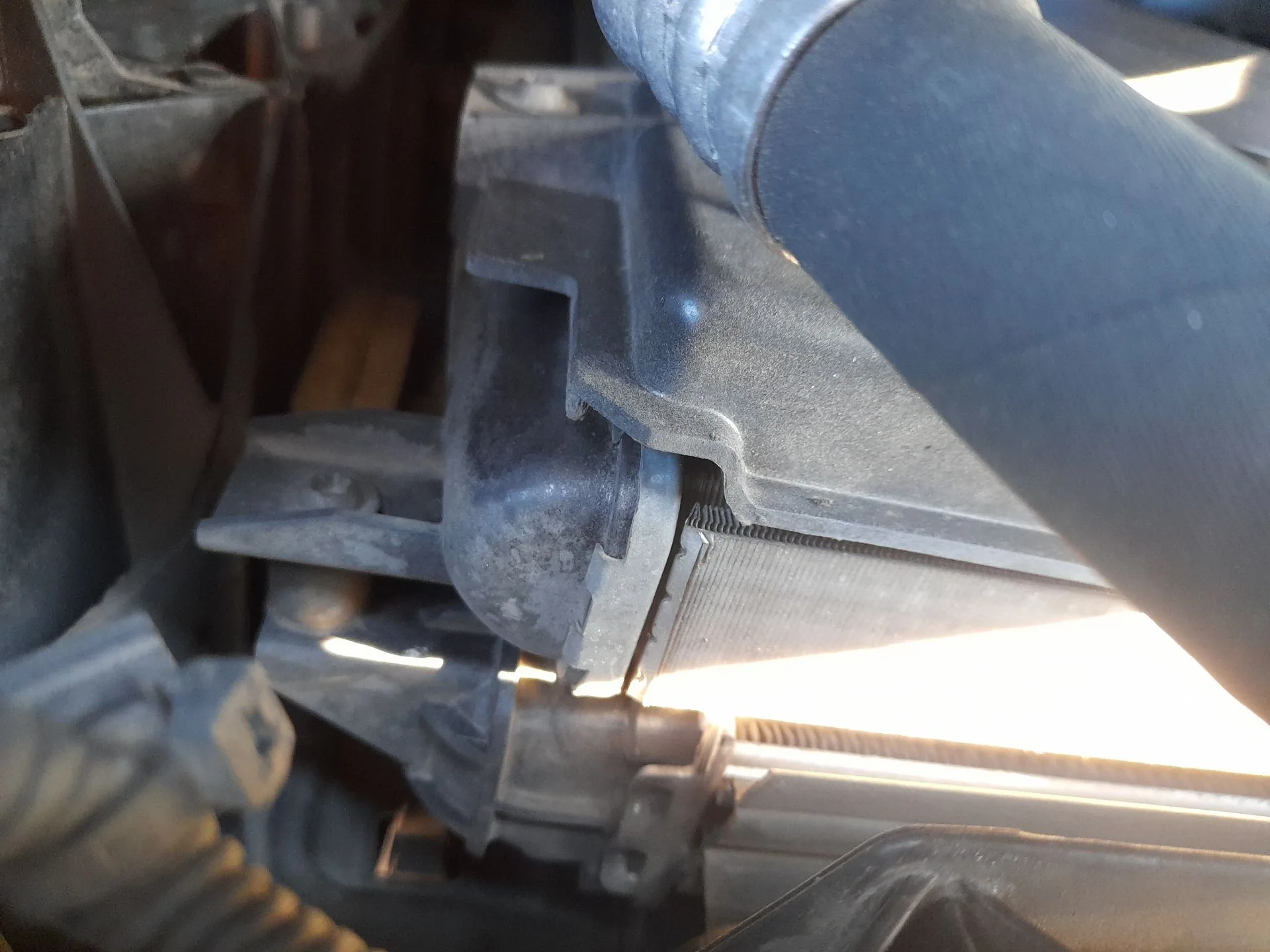 Radiador Agua para Seat Leon (1P1)