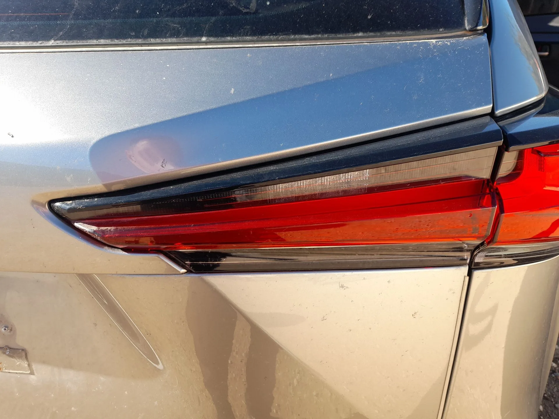 Piloto Trasero Derecho Interior para Lexus Nx (_Z1_)