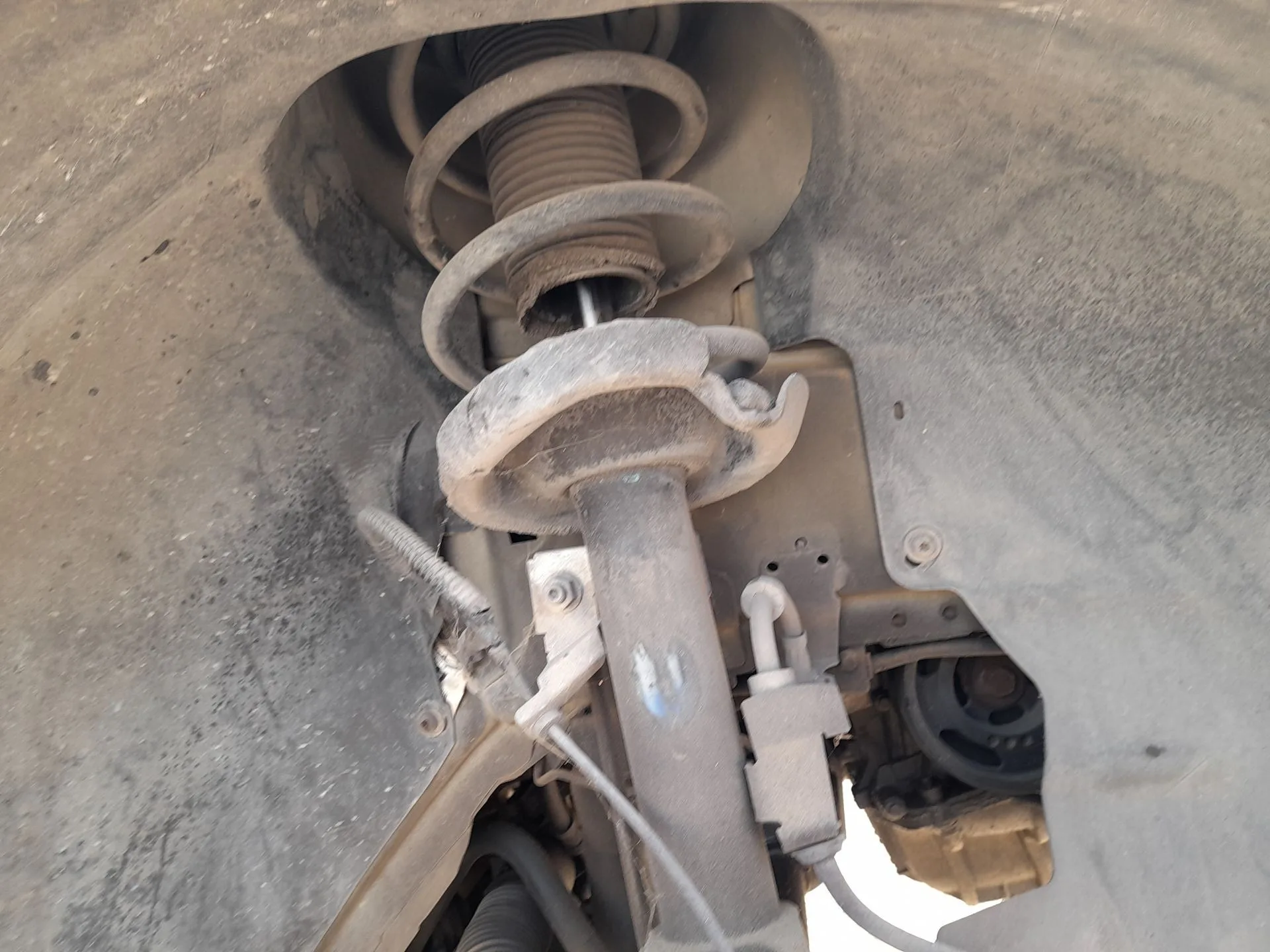 Amortiguador Delantero Derecho para Ford Focus Ii (Da_, Hcp, Dp)