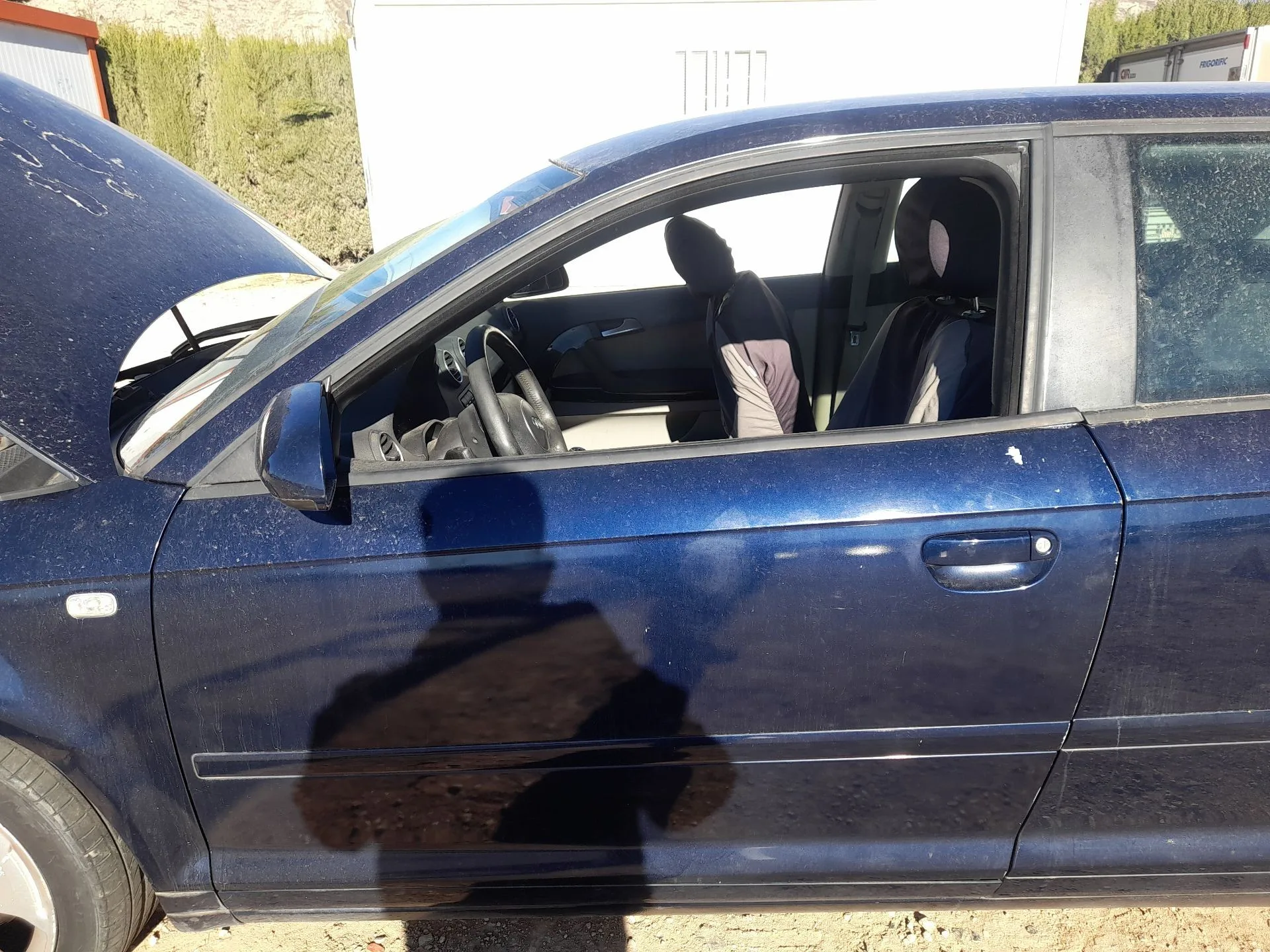 Puerta Delantera Izquierda para Audi A3 (8P1)