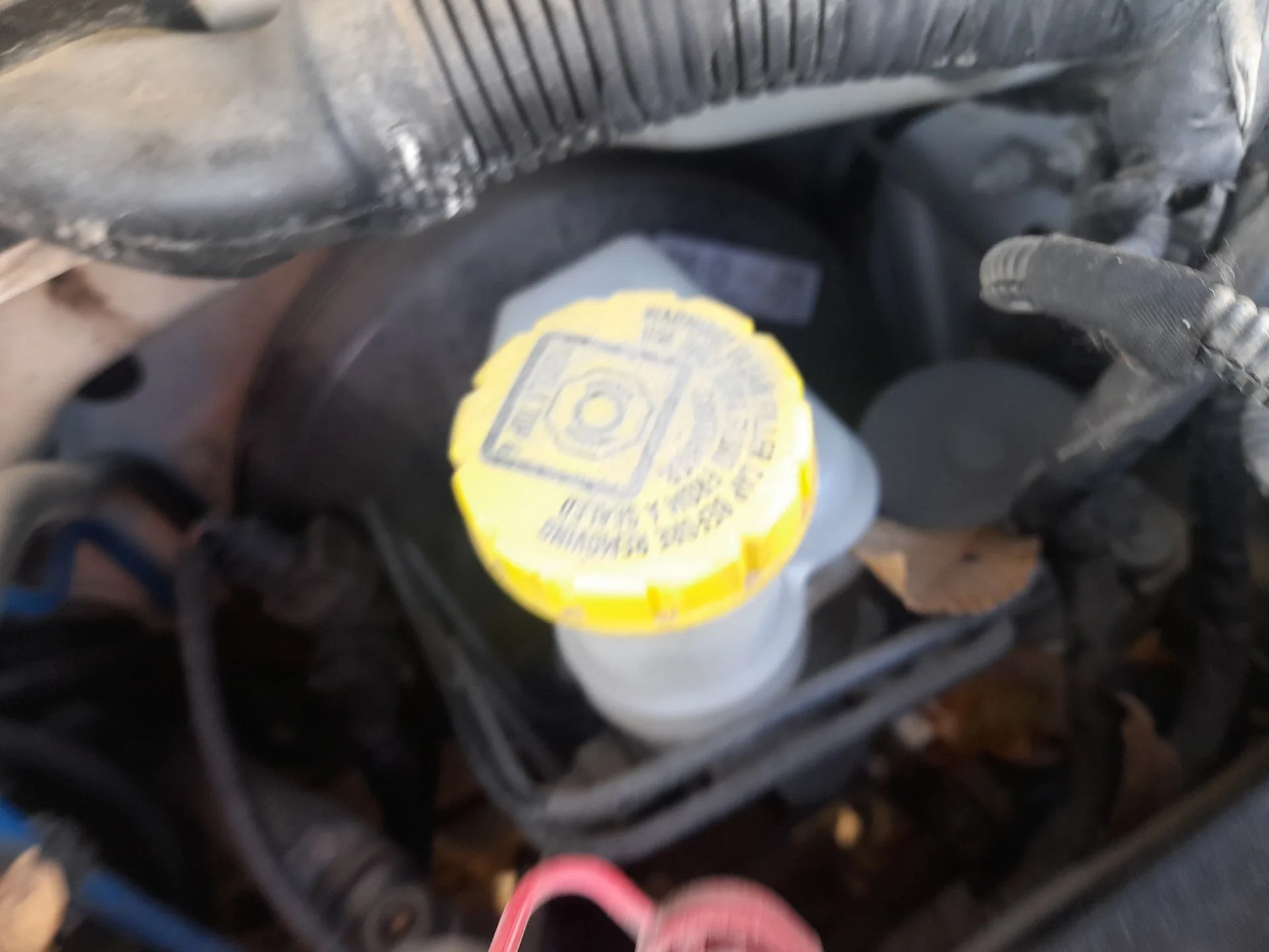 Bomba Freno para Ford Ka (Ru8)
