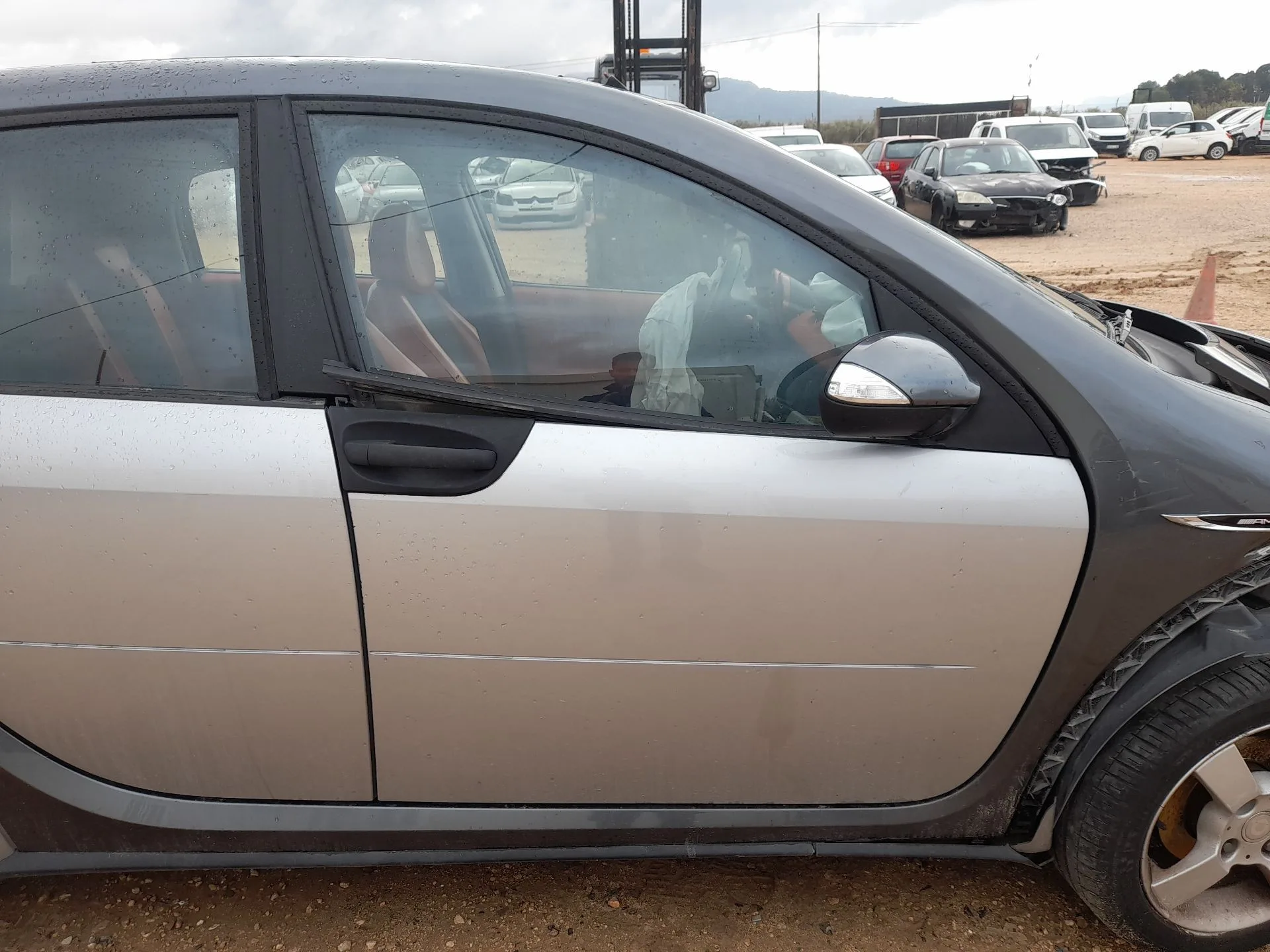 Puerta Delantera Derecha para Smart Forfour (454)