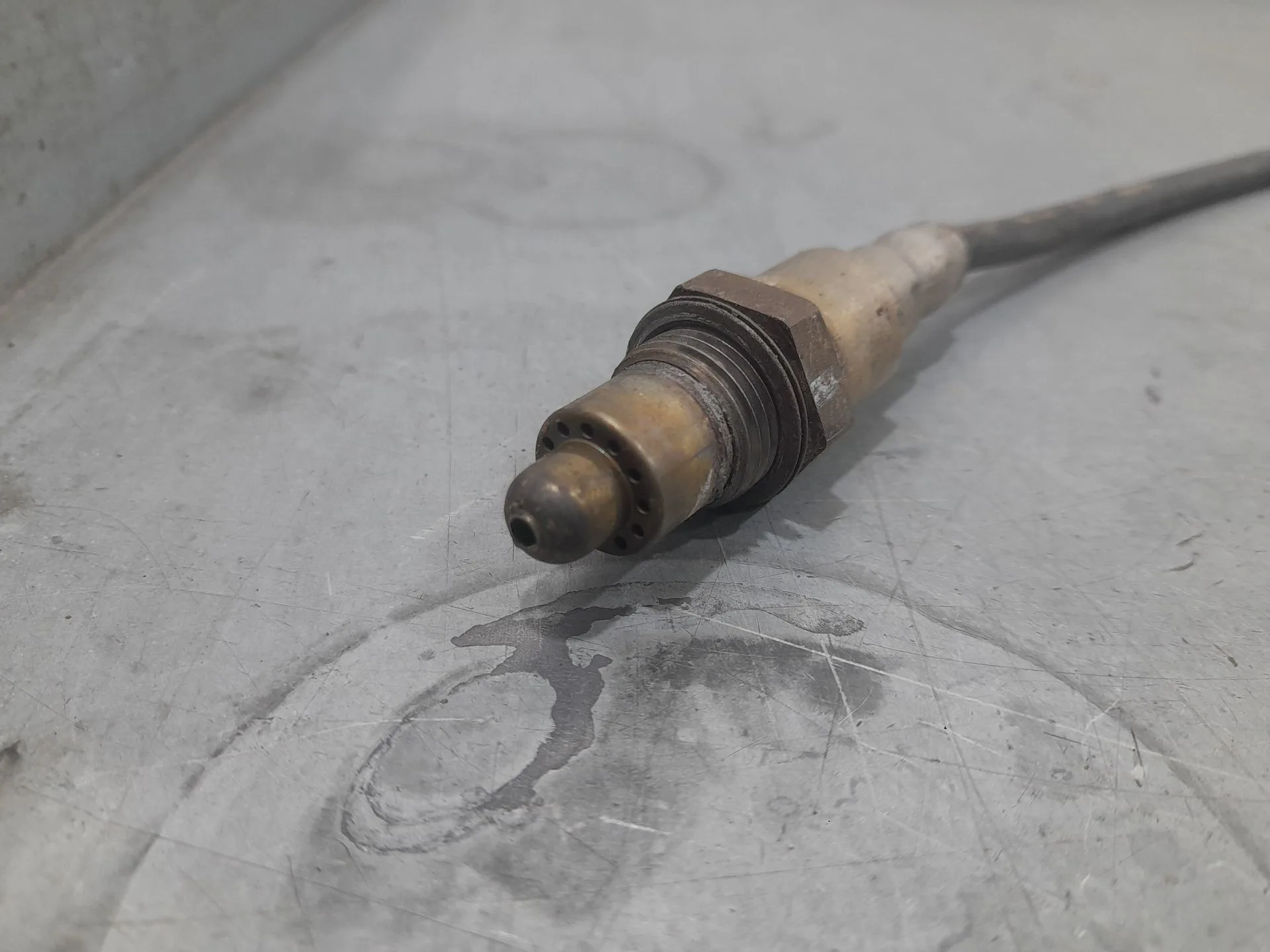 Sonda Lambda para Mg Mg 3 (5Fp)