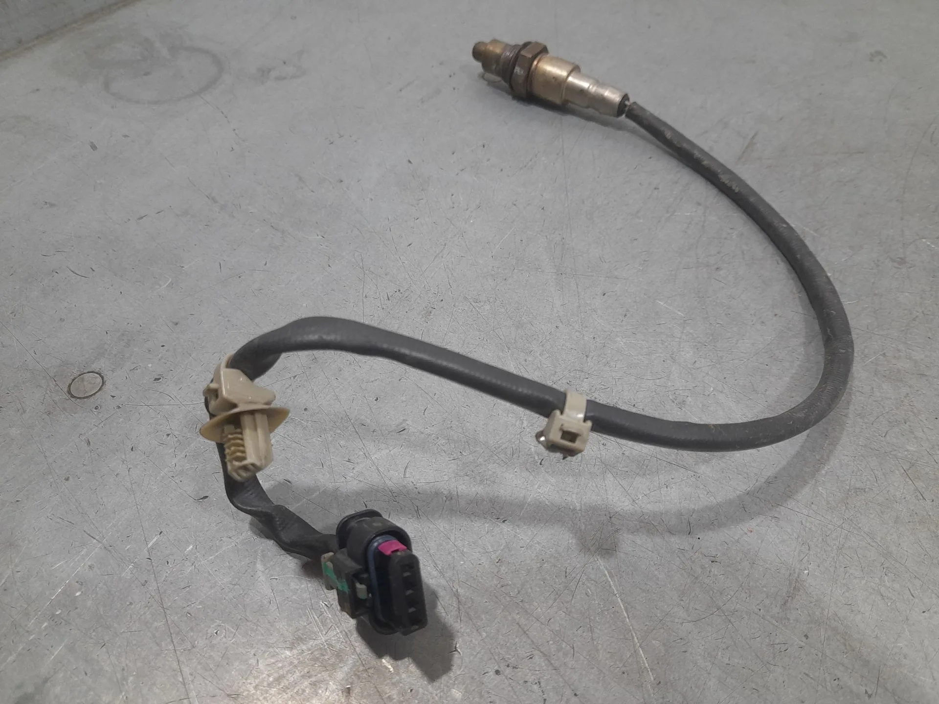 Sonda Lambda para Mg Mg 3 (5Fp)