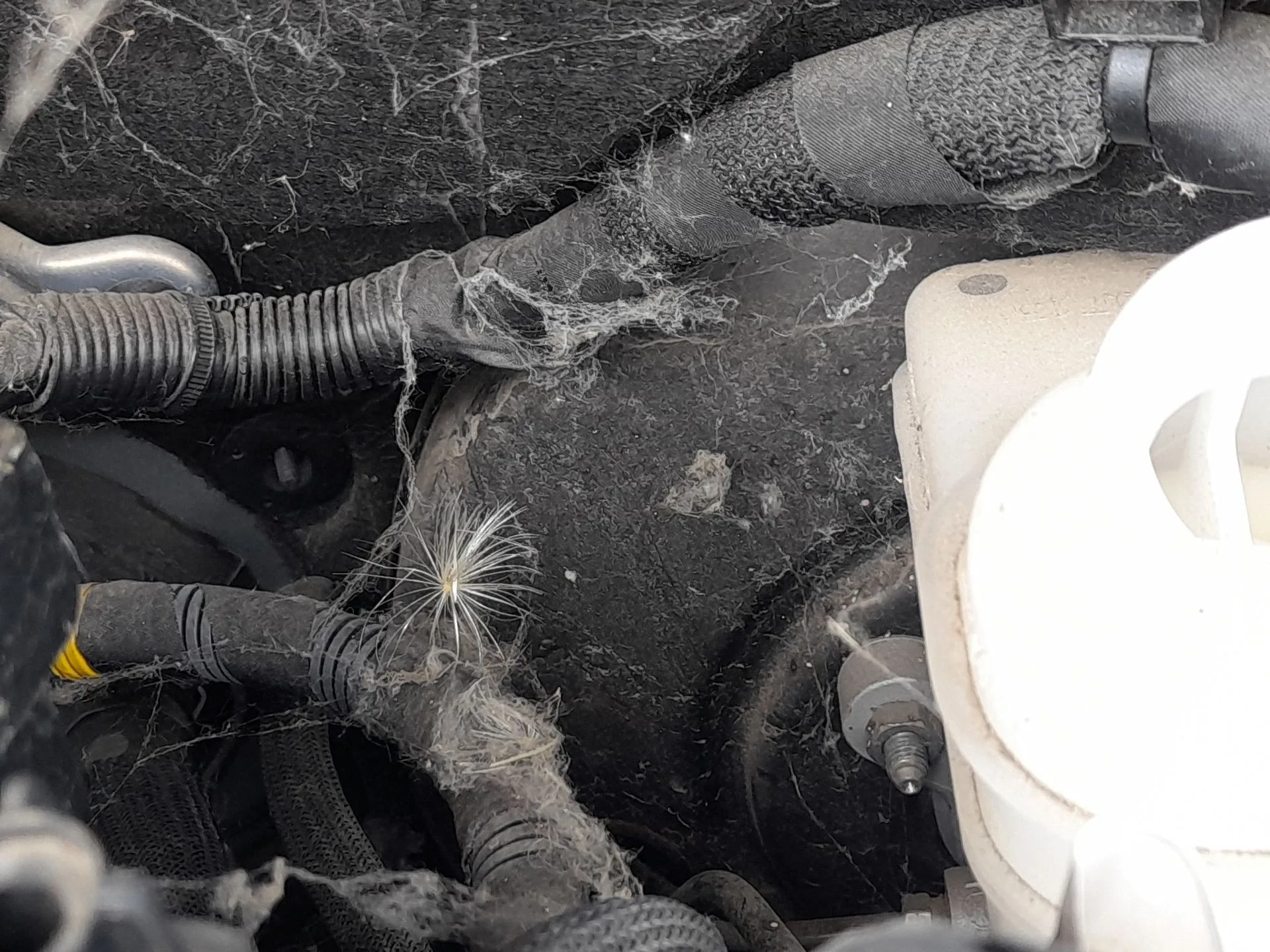 Servofreno para Jeep Compass (Mp, M6, Mv, M7)