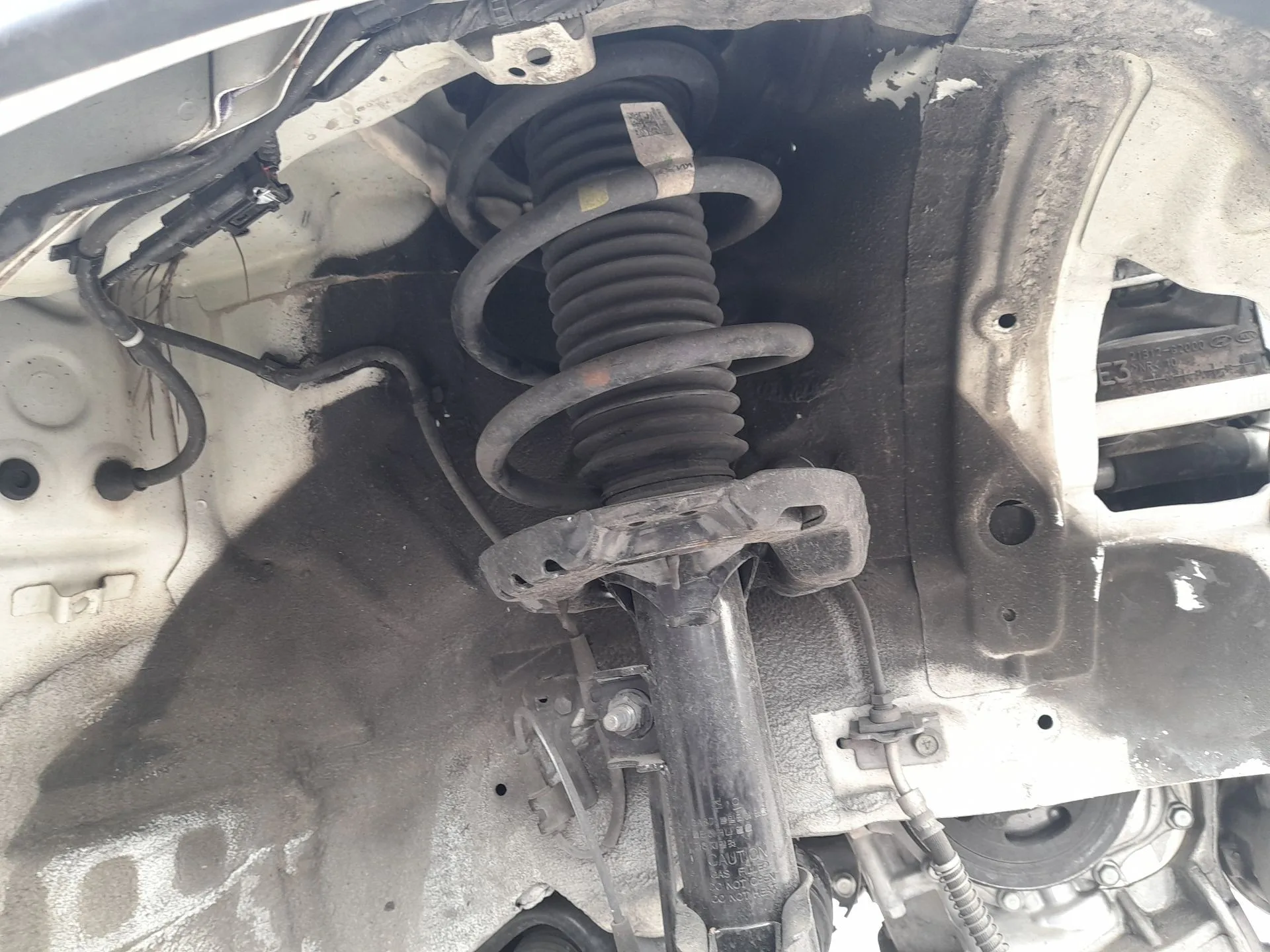 Amortiguador Delantero Derecho para Kia Niro (De)