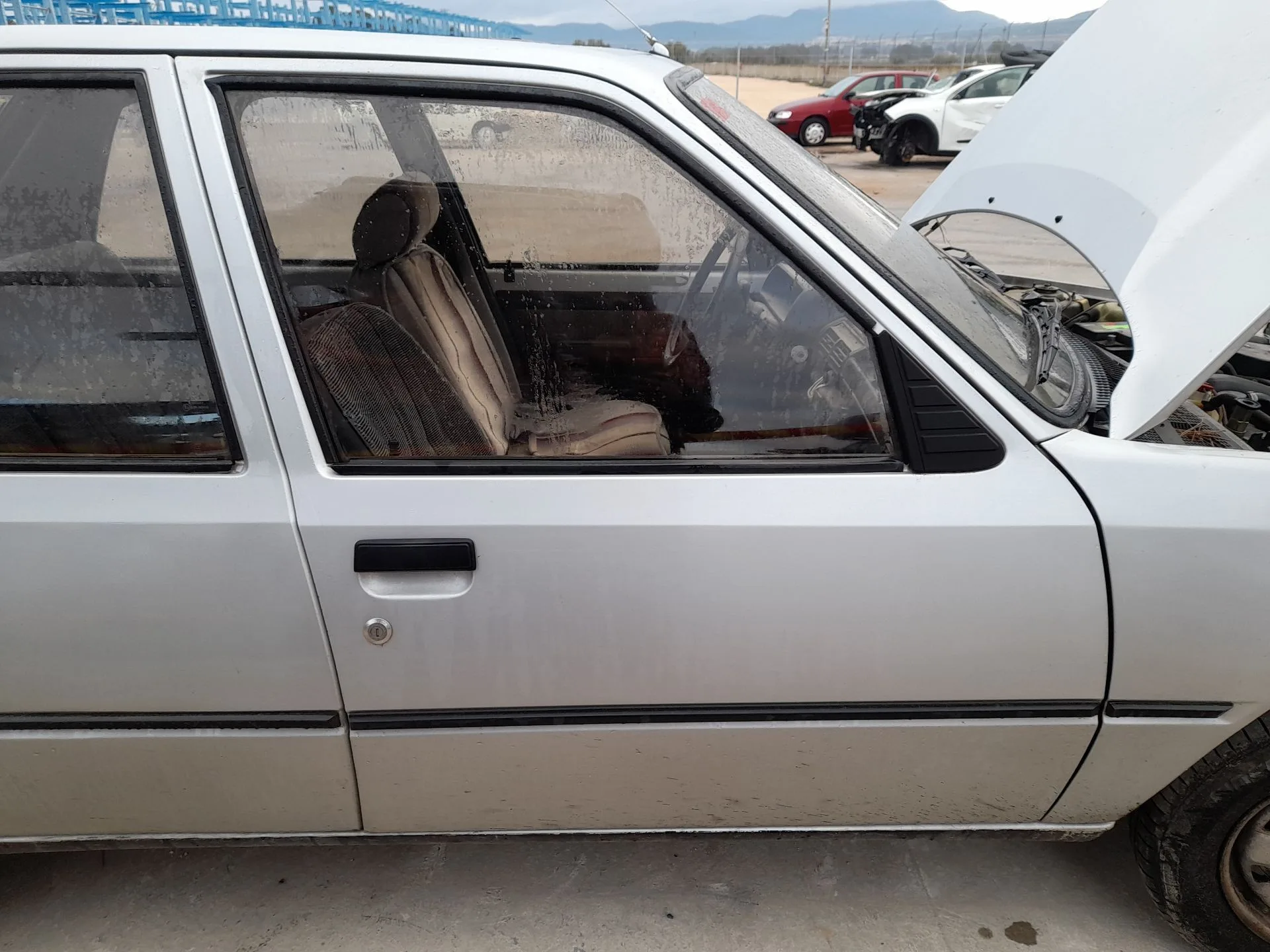 Puerta Delantera Derecha para Peugeot 205 I (741A/C)