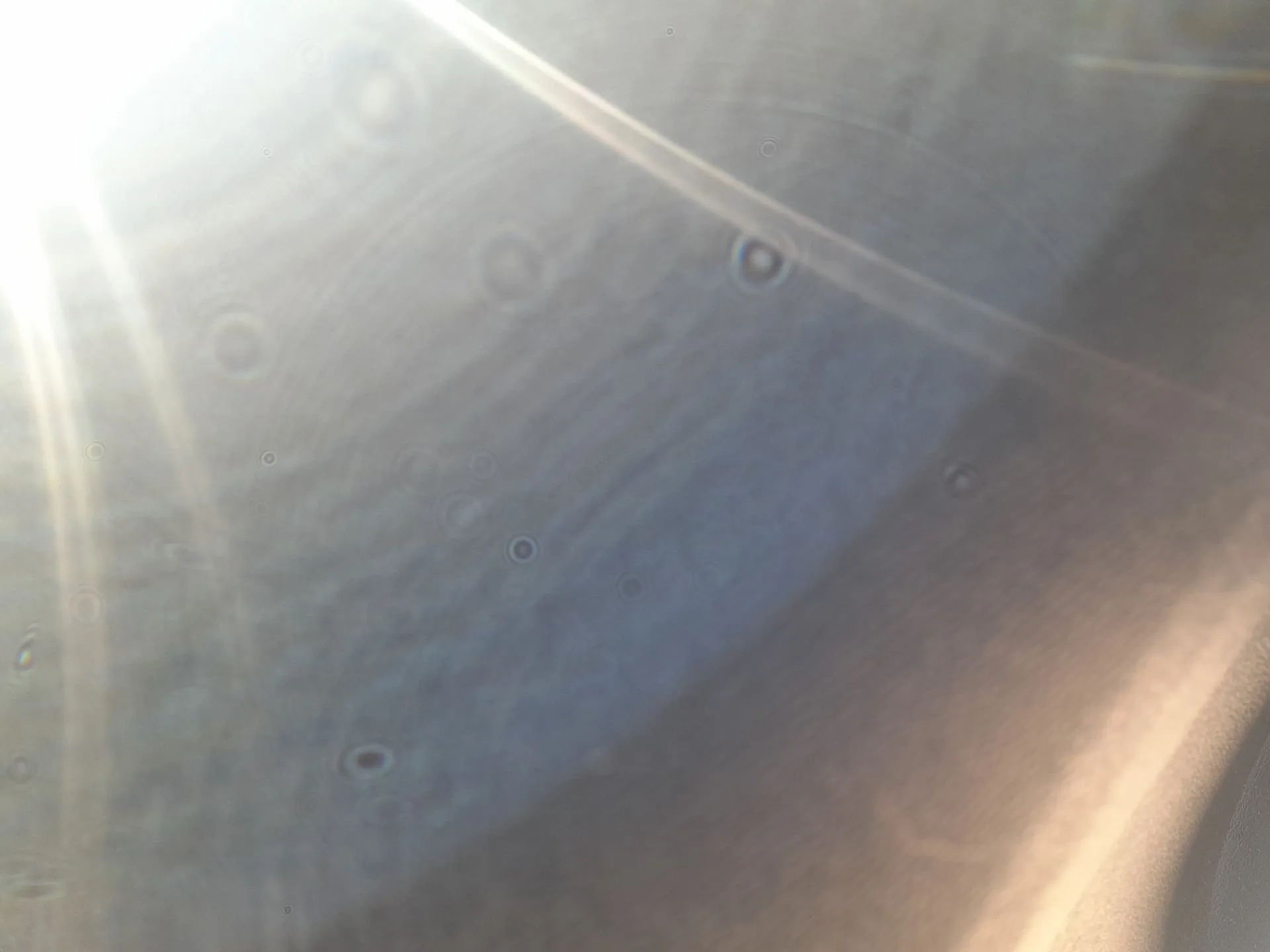 Elevalunas Delantero Izquierdo para Citroën C4 Iii (Ba_, Bb_, Bc_)
