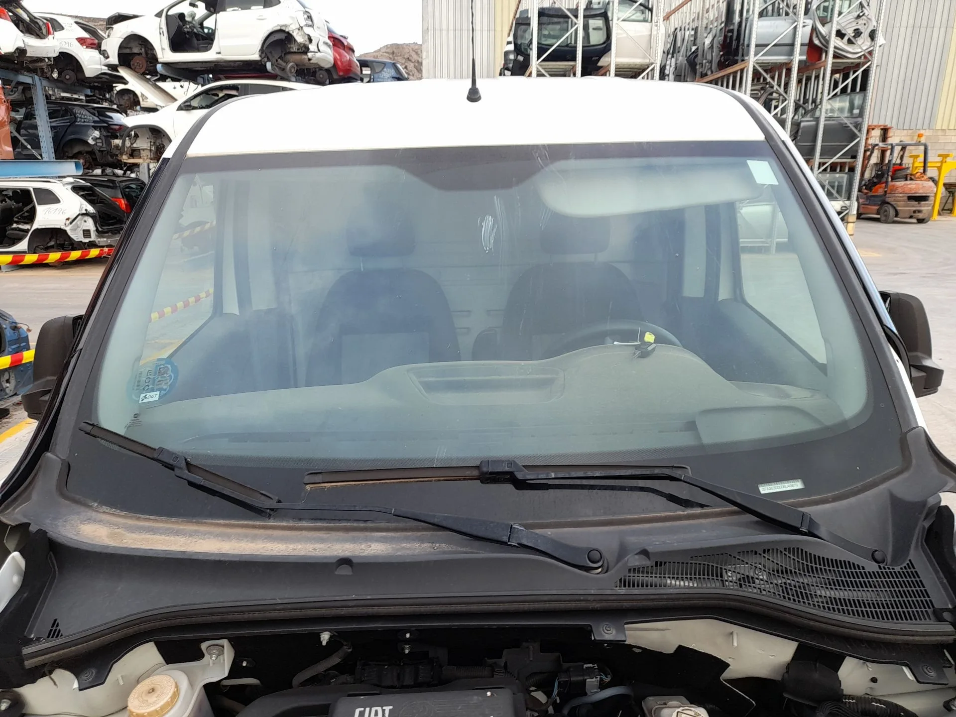 Parabrisas para Fiat Doblo Cargo (263_)